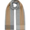 Women JOHNSTONS OF ELGIN Scarves & Wraps | Border Cashmere Scarf