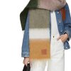 Women LOEWE Scarves & Wraps | Gradient Stripe Mohair Wool Scarf